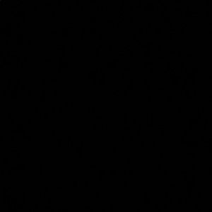 Meet your Posher, Jake